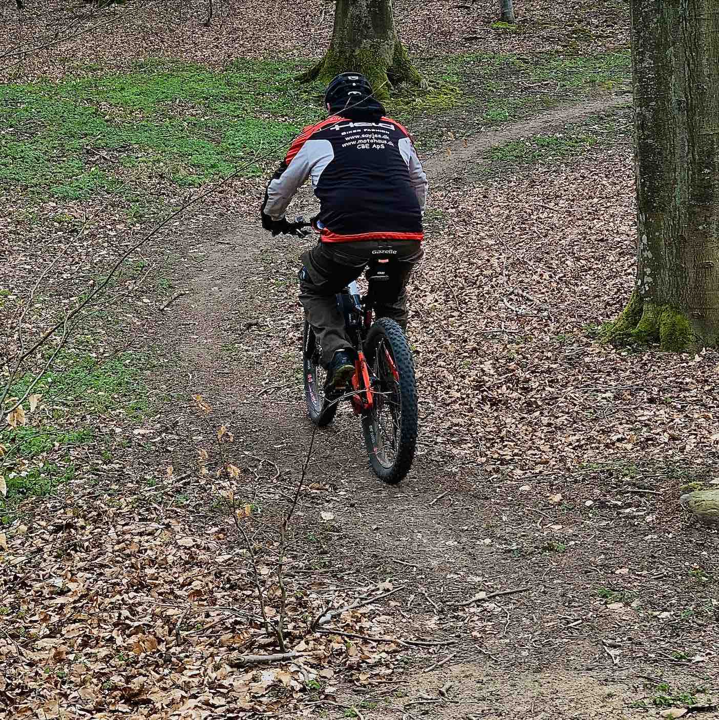 Anneberg skoven